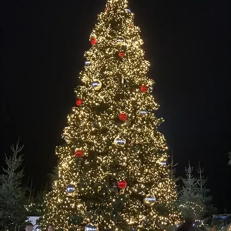 Marendes Des Palombes 2 Le Barcarès