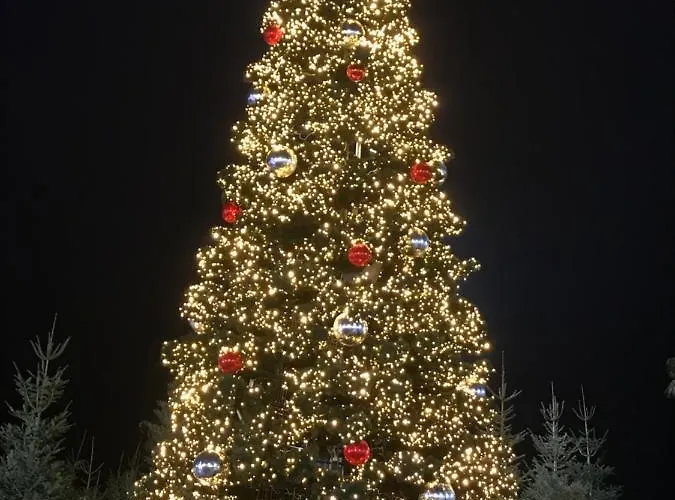 Marendes Des Palombes 2 Le Barcarès